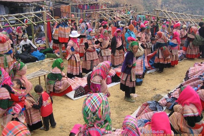 Private Car and Tour Guide Exploring Northern Vietnam - Vehicle choices and guide language: how to pick the right setup