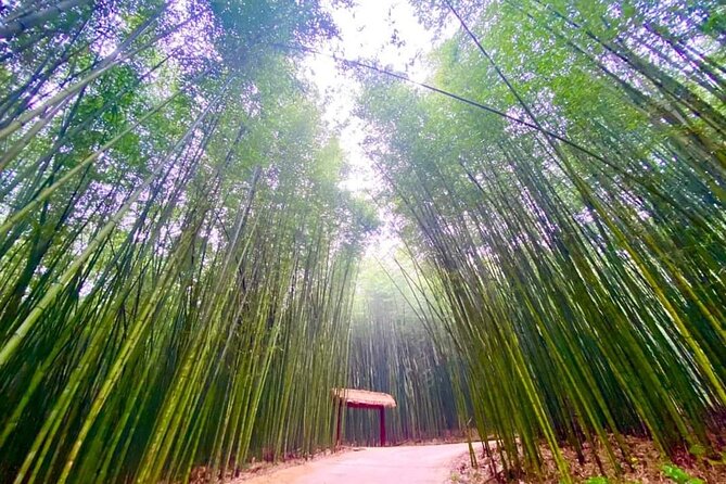 Private Car and Tour Guide Exploring Northern Vietnam - Cao Bang Geopark: Ban Gioc, Pac Bo Cave, and big-sky mountain views