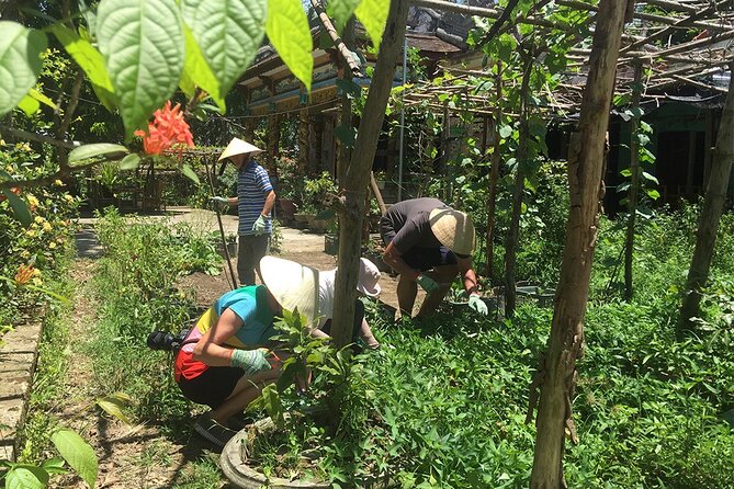 Private Cycling Tour in Rural Hue with Farming Experience - Price and value: what $89 covers (and why it’s fair)