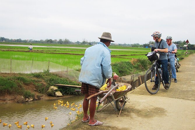 Private Cycling Tour in Rural Hue with Farming Experience - Thanh Toàn Bridge work period: helping farmers and learning by doing
