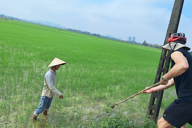 Private Cycling Tour in Rural Hue with Farming Experience - The ancient tile-roofed bridge moment: slow down near the village market