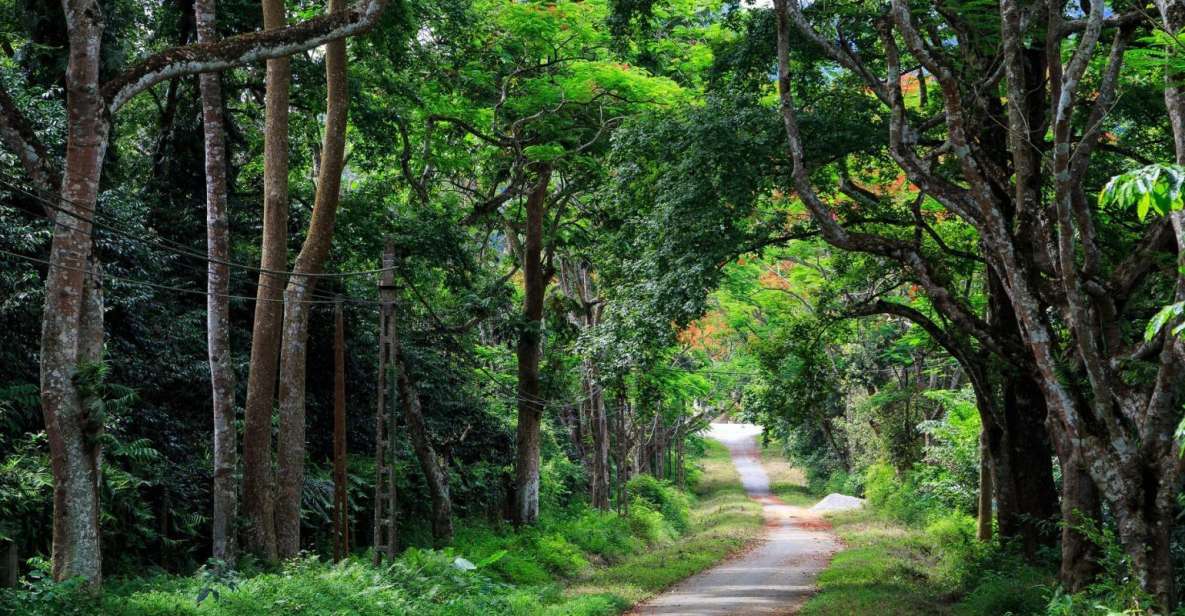 Private Day Tour: Cuc Phuong National Park from Hanoi - Key things to know before you go