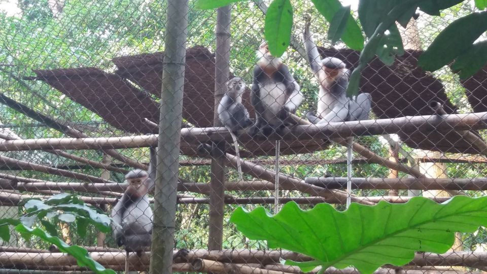 Private Day Tour: Cuc Phuong National Park from Hanoi - Should you book it?
