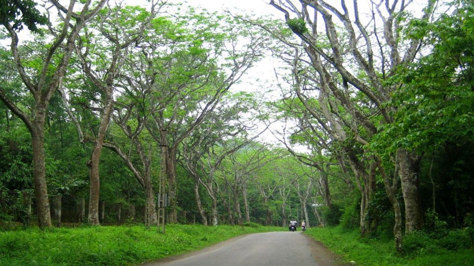 Private Day Tour: Cuc Phuong National Park from Hanoi - Lunch in the park area: simple, local, and timed for hiking energy