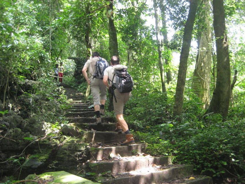 Private Day Tour: Cuc Phuong National Park from Hanoi - Afternoon sightseeing and the walk break: keeping the day comfortable