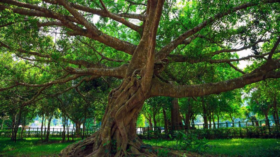 Private Day Tour: Cuc Phuong National Park from Hanoi - Private guide quality: when English and safety really matter