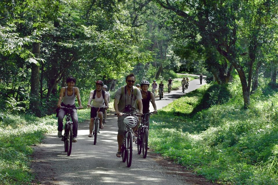 Private Day Tour: Cuc Phuong National Park from Hanoi - Price and value: what you’re paying for at $130 per person