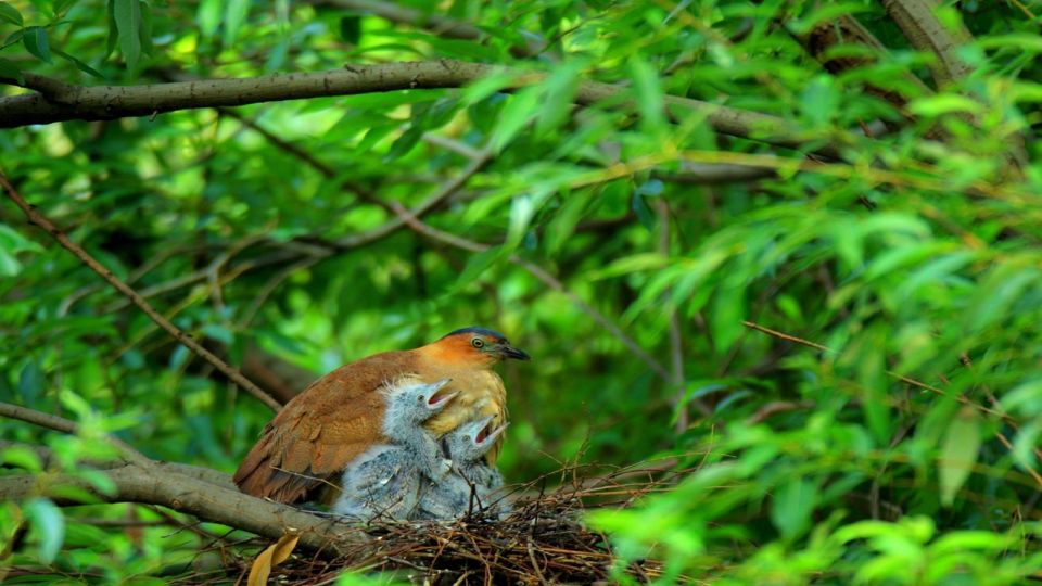 Private Day Tour: Cuc Phuong National Park from Hanoi - Who should book this Cuc Phuong day trip from Hanoi