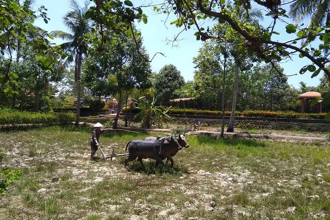 Private Day Trip To Visit MY LAI MASSACRE from Hoi an or Da Nang City - Price and included value: what you’re really paying for