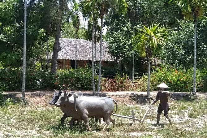 Private Day Trip To Visit MY LAI MASSACRE from Hoi an or Da Nang City - The real payoff: a private guide you can actually learn from
