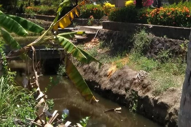 Private Day Trip To Visit MY LAI MASSACRE from Hoi an or Da Nang City - Weather and what it means for your planning