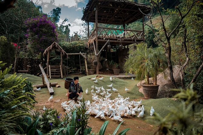 Private Full Day Tour in Sapa by Car - The Muong Hoa valley villages: Y Linh Ho, Lao Chai, and Ta Van