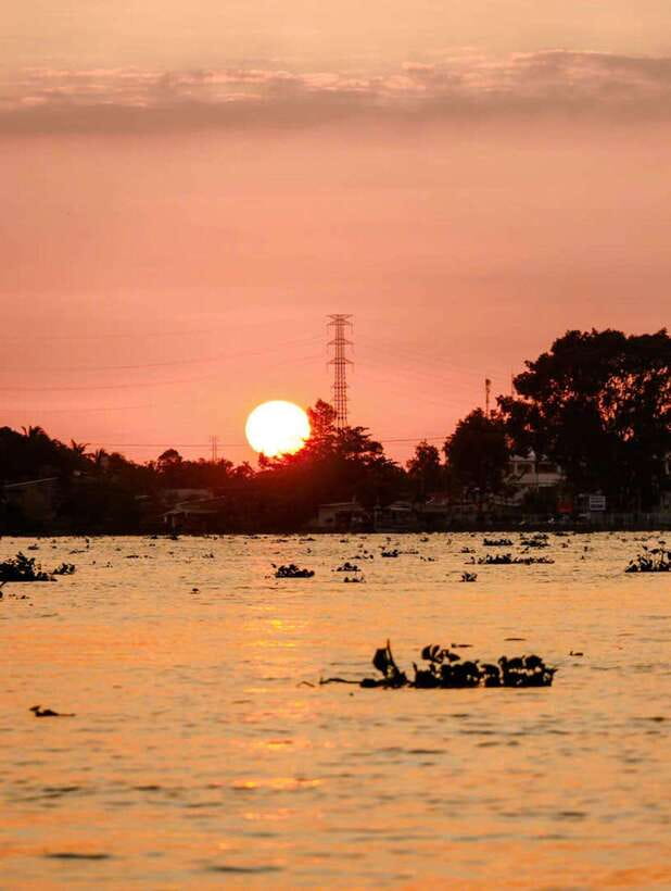 Private Half Day Tour - Cái Răng Floating Market - Cái Răng Floating Market: the river market that runs on daily life