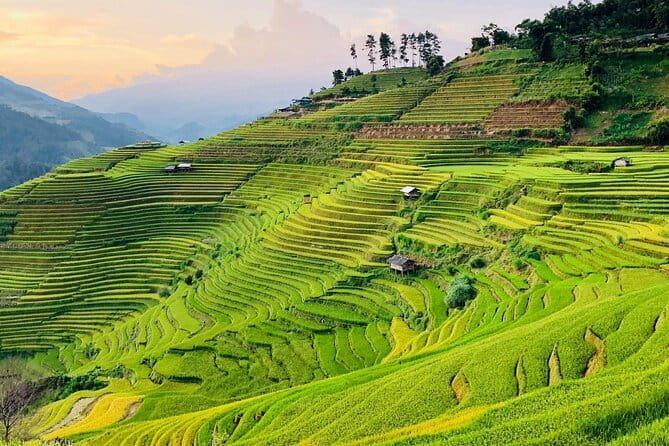 Private Half-Day Tour of Villages, Terrace Rice Fields by Car - A half-day private car route that actually fits Sapa