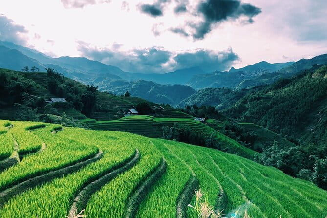 Private Half-Day Tour of Villages, Terrace Rice Fields by Car - Y Linh Ho and Lao Chai: two quicker stops with good payoff