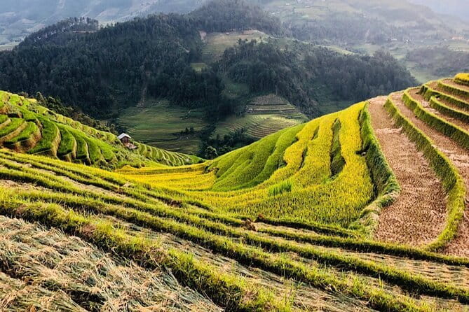 Private Half-Day Tour of Villages, Terrace Rice Fields by Car - Guide + car comfort + included basics: the stuff that matters