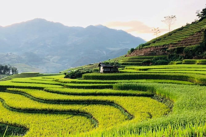 Private Half-Day Tour of Villages, Terrace Rice Fields by Car - How much walking is really involved