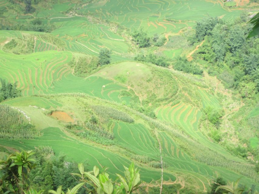Private Hoang Lien National Park & Tribal Village Trek - Lunch at 12:30 PM: Eating in the Wilderness Instead of Rushing Through It
