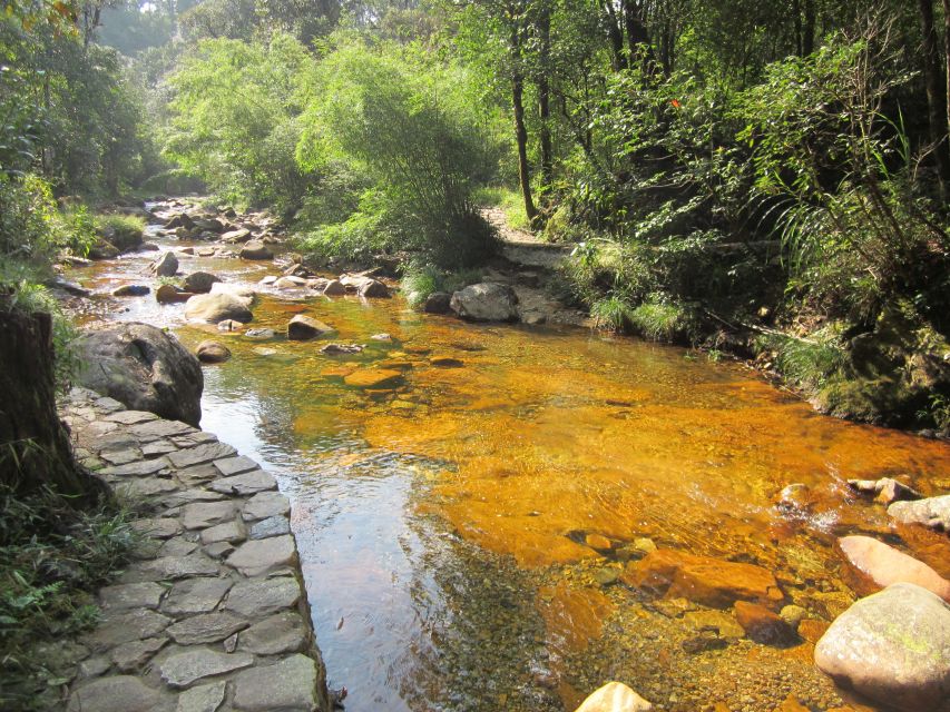 Private Hoang Lien National Park & Tribal Village Trek - How Long Is It, Really? Pacing and the 03:00 PM Return