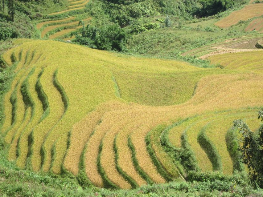 Private Hoang Lien National Park & Tribal Village Trek - What to Pack (and What to Wear) for a Bamboo-Forest Day