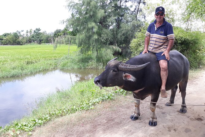 Private Hoi An Countryside: Biking, Basket boat, buffalo, foods - Should you book Private Hoi An Countryside?