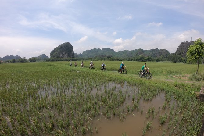 Private luxury - Mua Cave - Trang An - Bich Dong 1 Day From Hanoi - Tam Coc Lunch Break: Food, Rest, and Rice-Field Cycling Options