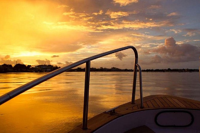 PRIVATE Luxury Sunset Mekong Afternoon trip from HCM city - Vietnamese BBQ dinner: end the day with something hearty