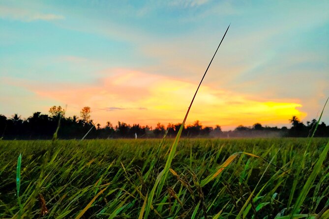 PRIVATE Mekong Delta 1 Day with Kayaking, Biking & Cooking - First river views: the Tien River cruise and island life