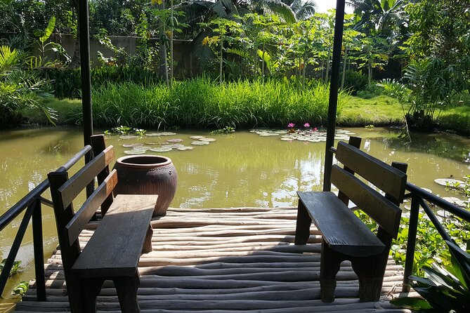 Private Mekong Delta Less Tourist - Coconut Island Tour - Lunch in the orchard area, then pomelo garden and honey culture