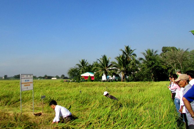 PRIVATE The Tunnels Of Cu Chi Half day tour - Price and value: is $99 per person fair?