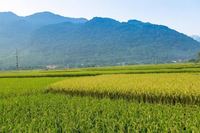 Private Tour: Day Tour of Mai Chau from Hanoi - Mai Chau feels like a reset from Hanoi