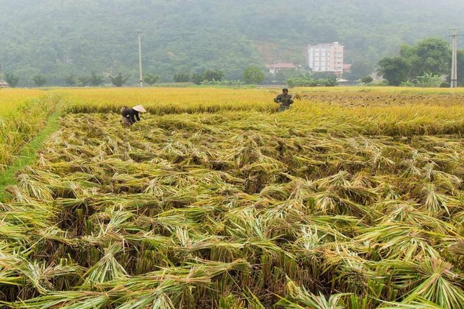 Private Tour: Day Tour of Mai Chau from Hanoi - Private guide time: how to get more out of the day