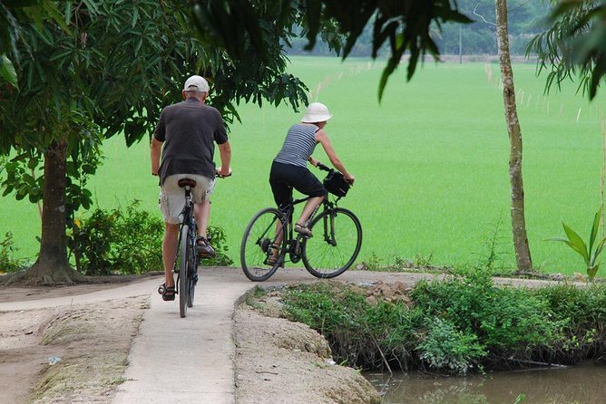 Private Tour Mekong Delta Day Trip from Ho Chi Minh City - Who should book (and who should rethink it)