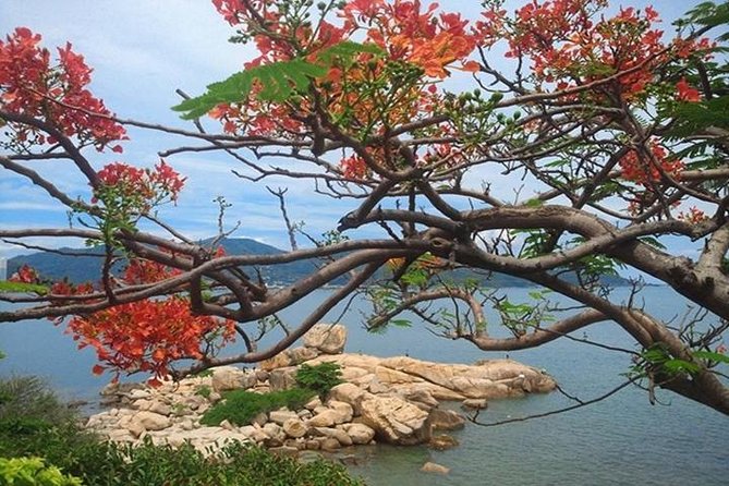 Private tour: Nha Trang Half day city tour &Lunch with PHỞ - Half-Day Nha Trang With a Private Guide (and Real Free Time Later)