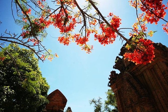 Private tour: Nha Trang Half day city tour &Lunch with PHỞ - What’s Included (and Why the Price Feels Fair)