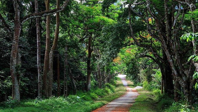 Private Transfers Full Day Hanoi - Ba Vi National Park - Hanoi - The day’s rhythm: 1.5 hours each way, with time to breathe