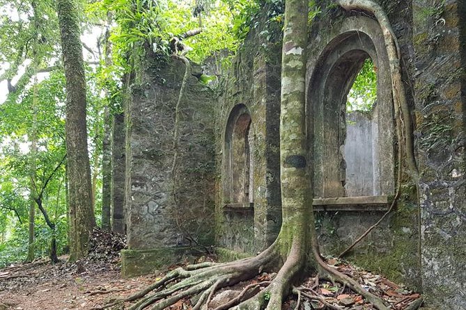 Private Transfers Full Day Hanoi - Ba Vi National Park - Hanoi - Who should book this, and who should add a guide