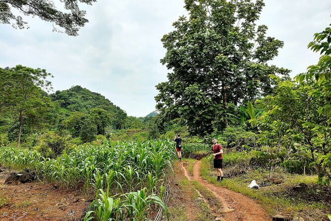 Private Transfers Ha Giang <=> Sapa One Way (Free Hotel Pickup) - The 250 km Drive: Timing and How to Plan Your Day