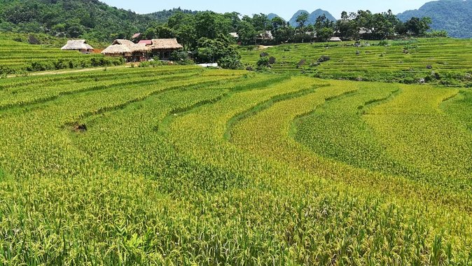 Private transfers Hanoi <=> Puluong 1 Way (Free Hotel Pickup) - Price and Value: Why $89 Per Group Can Make Sense