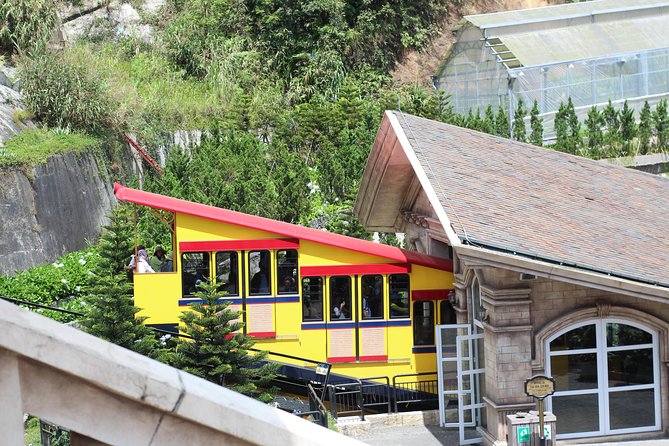 Private trip to Golden Bridge - Comfort and small food extras that improve the day