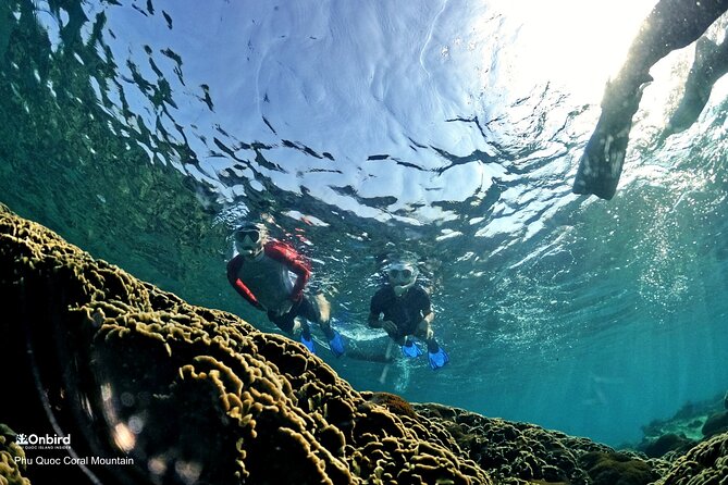 PRO-SNORKELING to Explore Hidden Coral Reefs (MAX 12 PAX) - How the day starts at An Thoi: comfort, safety, and quick readiness