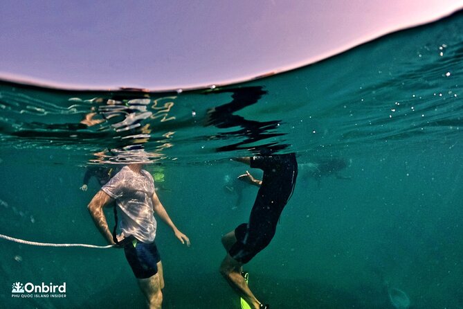 PRO-SNORKELING to Explore Hidden Coral Reefs (MAX 12 PAX) - Hidden coral spots you might visit (and what each one is known for)