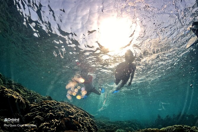 PRO-SNORKELING to Explore Hidden Coral Reefs (MAX 12 PAX) - Gear and group size: why max 12 makes a real difference