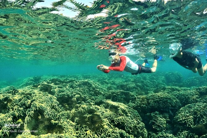 PRO-SNORKELING to Explore Hidden Coral Reefs (MAX 12 PAX) - Two snorkeling windows: how you get more reef time and less waiting