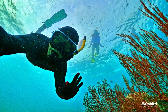 PRO-SNORKELING to Explore The Coral Jungle REEF (MAX 10 PAX) - Coral Jungle Reef: why it still deserves your time