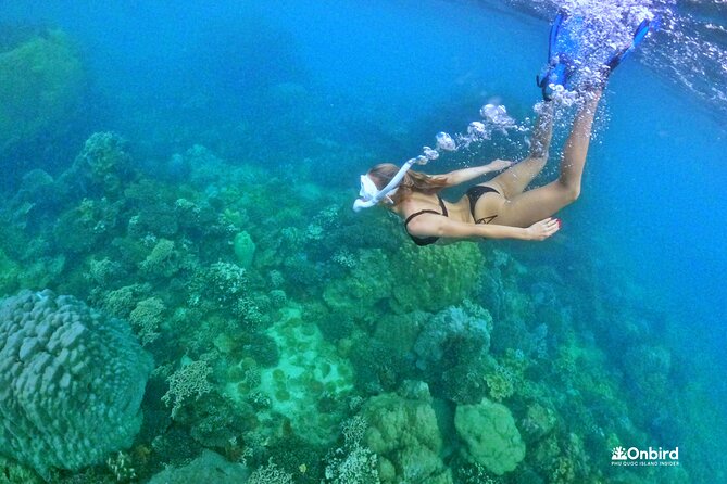 PRO-SNORKELING to Explore The Coral Jungle REEF (MAX 10 PAX) - Getting out of the tourist lanes: North Phu Quoc timing and pace