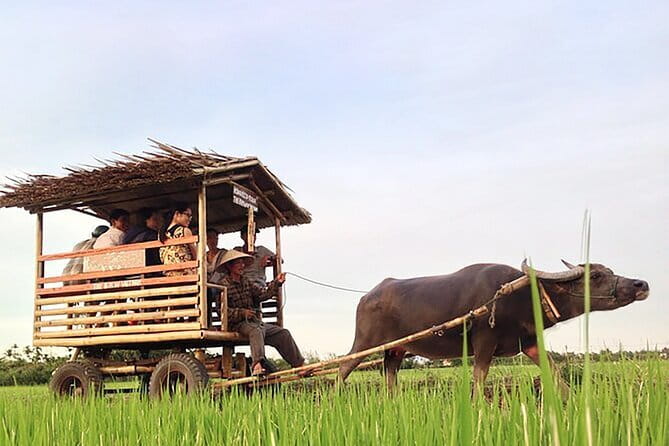 Pu Luong 3-Day Adventure: Trekking, Cycling & Local Cooking Class - Why Pu Luong fits a 3-day adventure