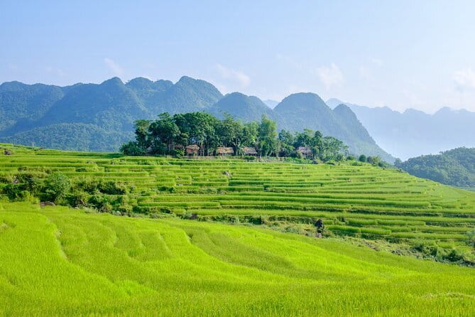 Pu Luong 3-Day Adventure: Trekking, Cycling & Local Cooking Class - Day 3: bamboo bridge, cycling villages, and river lunch by bamboo boat