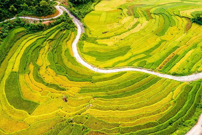 Pu Luong Day Tour: Trekking Villages, Bamboo Rafting & Waterfall - Lunch on the bamboo boat: food that fits the pace of the day