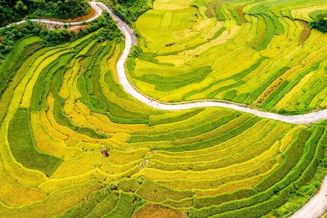 Pu Luong Insight Half Day of Nature and Culture Discovery Top 1 - Key Highlights You’ll Care About